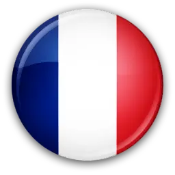 France flag icon