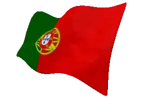portugal_flag_perspective_anim_300_clr_3640 Portugal flag icon